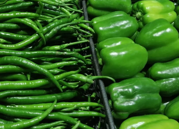 天津市批发市场、超市蔬菜库存总体充足 蔬菜批发价格稳中有降